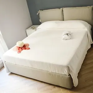 Colosshouse Guest house